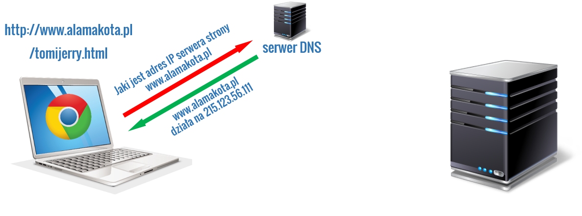Serwer DNS